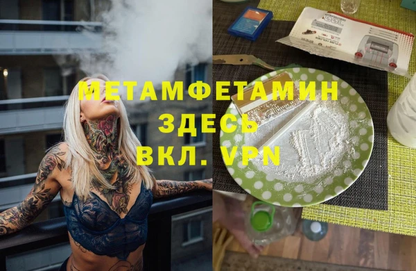 прущие грибы Новозыбков