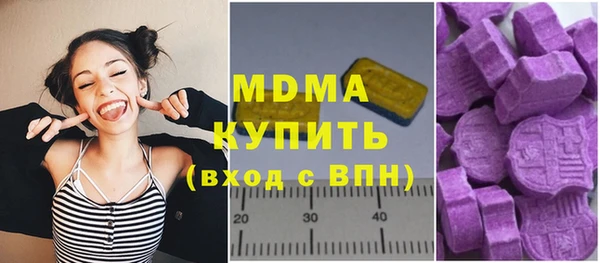 прущие грибы Новозыбков