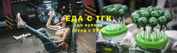 прущие грибы Новозыбков