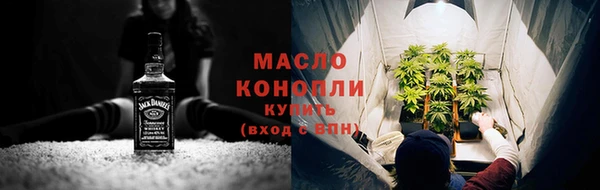 прущие грибы Новозыбков