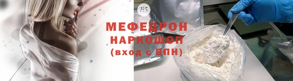 прущие грибы Новозыбков
