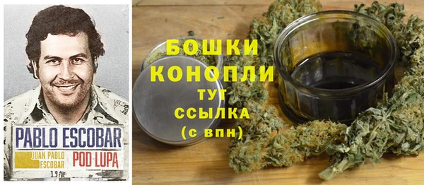 молекула духа Новокубанск