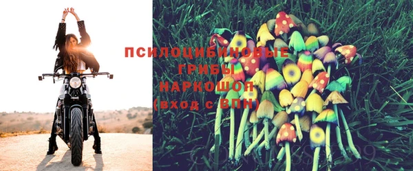 крисы Нея