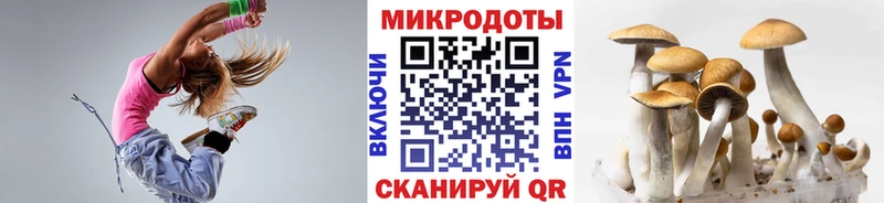 Галлюциногенные грибы Cubensis  Питкяранта 